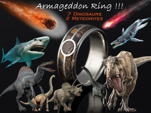 Prstan Armageddon - Srebro, Meteorit, Fosil, T-REX - Simon Vida Jewelry