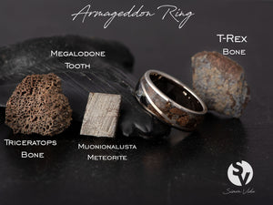 Prstan Armageddon V2- Srebro, Meteorit, Fosil, T-REX - Simon Vida Jewelry