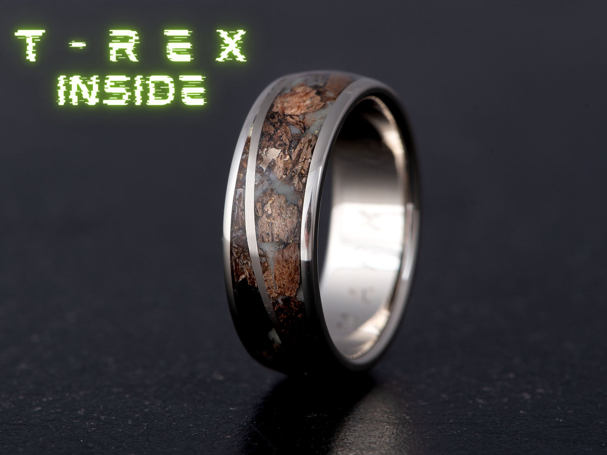 Prstan Armageddon V2- Srebro, Meteorit, Fosil, T-REX - Simon Vida Jewelry